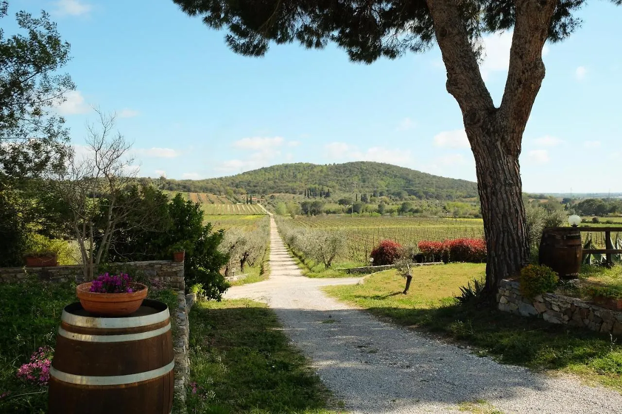 مزرعة للإقامة Agriturismo Biologico Bulichella سوفيريتو
