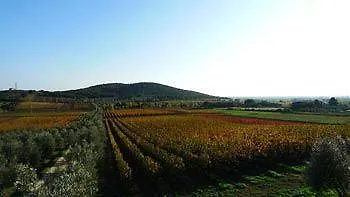 Agriturismo Biologico Bulichella سوفيريتو مزرعة للإقامة
