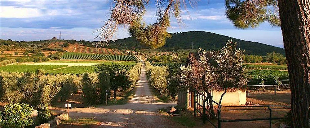 Agriturismo Biologico Bulichella سوفيريتو 0*,