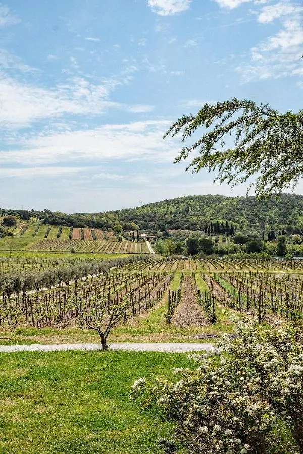 Agriturismo Biologico Bulichella 0*, Suvereto Italy