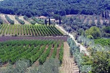 Agriturismo Biologico Bulichella 0*, Suvereto Italy
